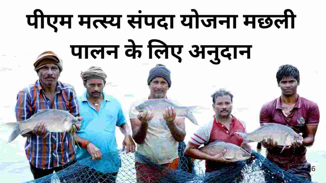 मत्स्य पालन को बढ़ावा देने हेतु संस्थागत वित्तपोषण का विस्तार, किसानों को बड़ी राहत